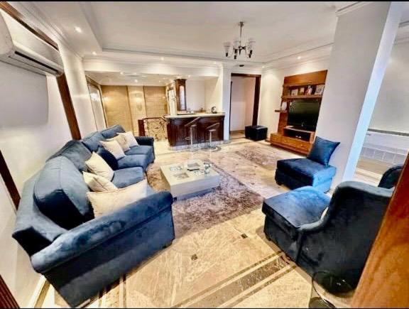 Amazing Duplex With Nile View Apartment